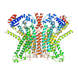 BU of 7rxg by Molmil