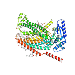 BU of 7rxh by Molmil