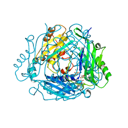 BU of 7rxw by Molmil