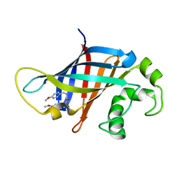 AU of 7s12 by Molmil