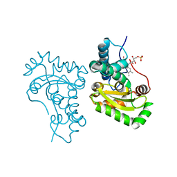 BU of 7sbh by Molmil