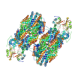 BU of 7scc by Molmil