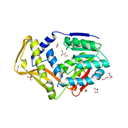 BU of 7scf by Molmil