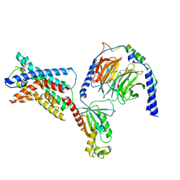 BU of 7sf8 by Molmil