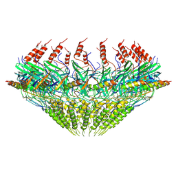 BU of 7spc by Molmil