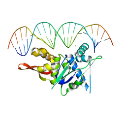 BU of 7spm by Molmil