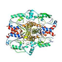 BU of 7sql by Molmil