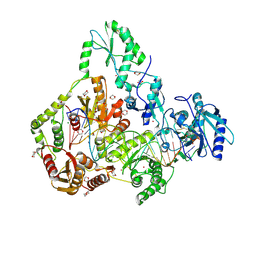 BU of 7sr6 by Molmil