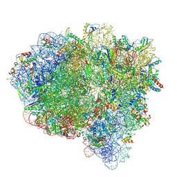 BU of 7ssl by Molmil