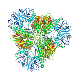 BU of 7t3v by Molmil