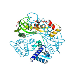 BU of 7tb5 by Molmil