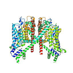 BU of 7tdd by Molmil