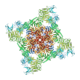 BU of 7tdg by Molmil