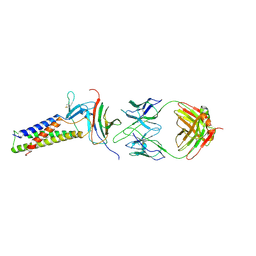 BU of 7tdm by Molmil