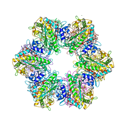 BU of 7tdv by Molmil