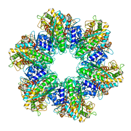 BU of 7tfd by Molmil