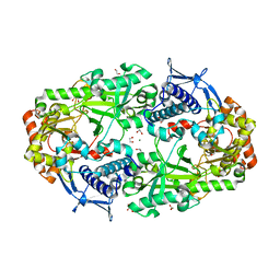 BU of 7tgn by Molmil