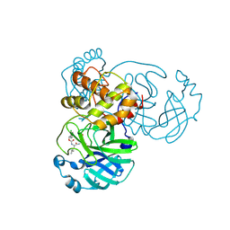 BU of 7tiw by Molmil