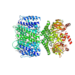 BU of 7tj5 by Molmil