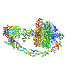 BU of 7tk1 by Molmil