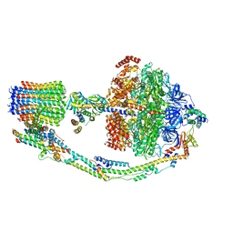 BU of 7tkb by Molmil