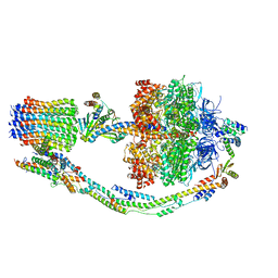 BU of 7tkl by Molmil