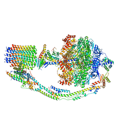 BU of 7tkr by Molmil