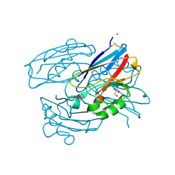 BU of 7tnc by Molmil