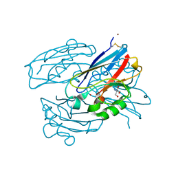 BU of 7tnc by Molmil