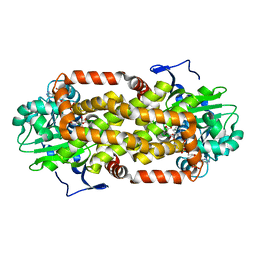 BU of 7toc by Molmil