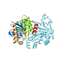 BU of 7tpn by Molmil