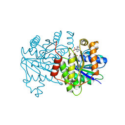 BU of 7tpv by Molmil