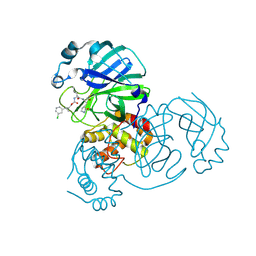 BU of 7tq4 by Molmil