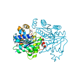 BU of 7tq9 by Molmil