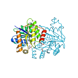 BU of 7tqc by Molmil