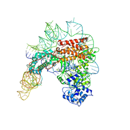 BU of 7trd by Molmil