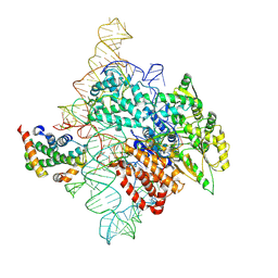 BU of 7trf by Molmil