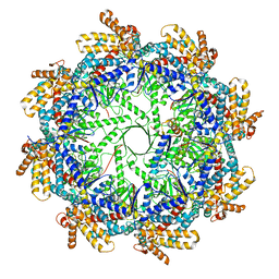 BU of 7trg by Molmil