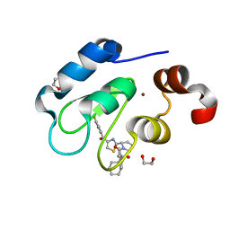 BU of 7trm by Molmil