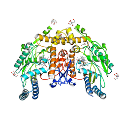 BU of 7tsp by Molmil