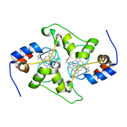 BU of 7txe by Molmil