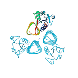 BU of 7txp by Molmil