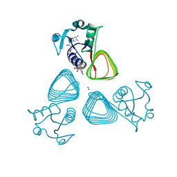 BU of 7txq by Molmil