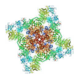 BU of 7ua1 by Molmil