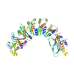 BU of 7ubb by Molmil