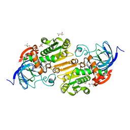 BU of 7uc9 by Molmil