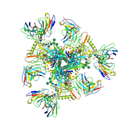 BU of 7ucg by Molmil