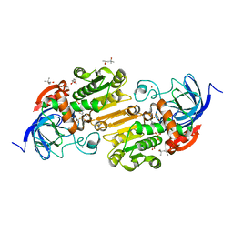 BU of 7ucu by Molmil