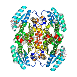 BU of 7ucw by Molmil