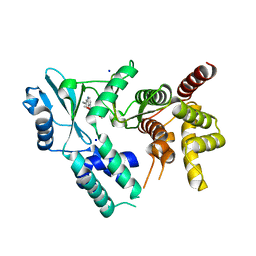 BU of 7udq by Molmil